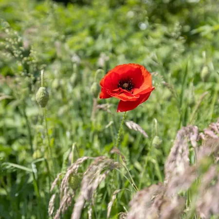 Apartment Reethus 22 Loft 7