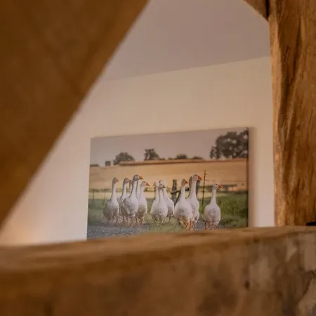 Reethus 22 Loft 7 Apartment Timmendorfer Strand