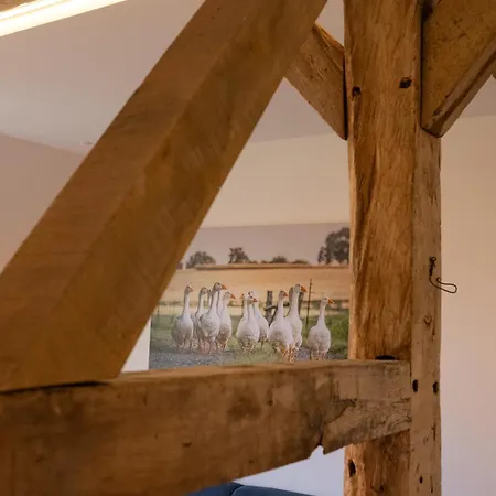 Reethus 22 Loft 7 Apartment