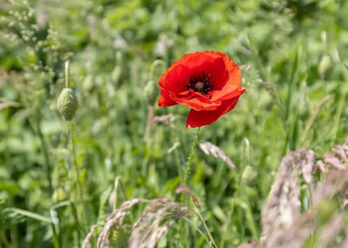 Appartement Reethus 22 Loft 7