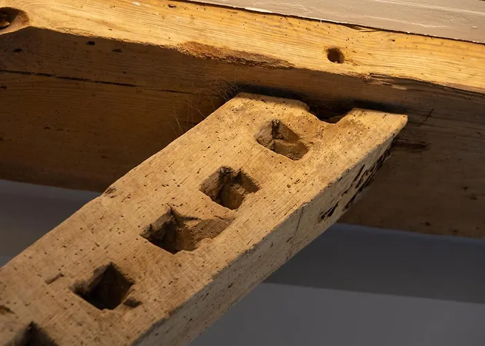 Reethus 22 Loft 7 * Timmendorfer Strand