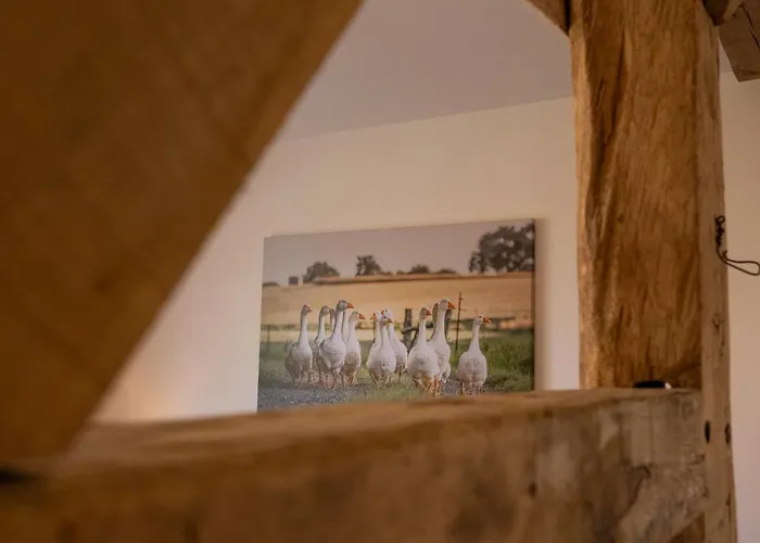 Reethus 22 Loft 7 Appartement Timmendorfer Strand